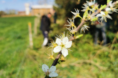 IMG_20220402_110821